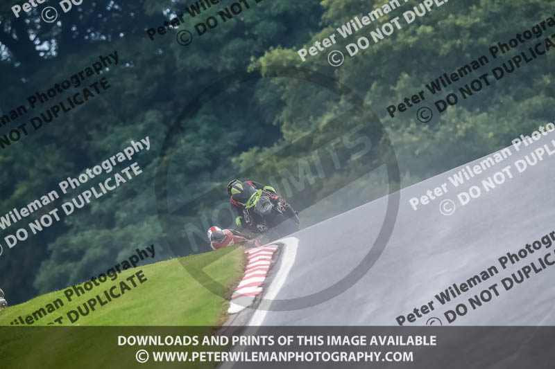 PJ Motorsport Photography 2020;anglesey;brands hatch;cadwell park;croft;donington park;enduro digital images;event digital images;eventdigitalimages;mallory;no limits;oulton park;peter wileman photography;racing digital images;silverstone;snetterton;trackday digital images;trackday photos;vmcc banbury run;welsh 2 day enduro